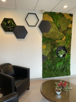 A plant wall next to a leather armchair